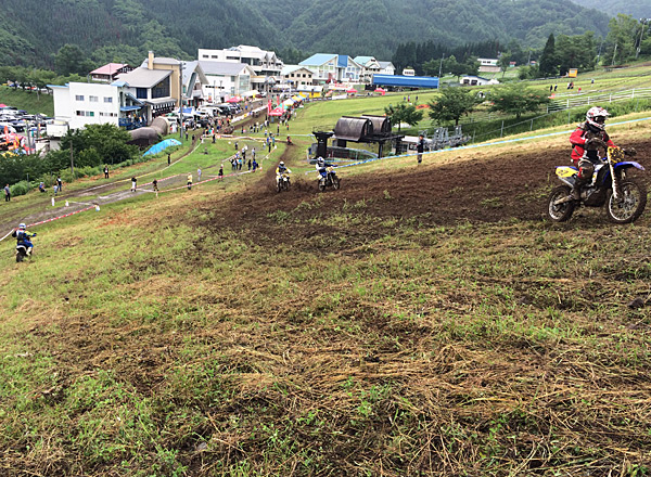 JNCC2017ほうのき